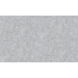 AS-39656-5 IN
