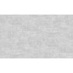 AS-39657-2 IN