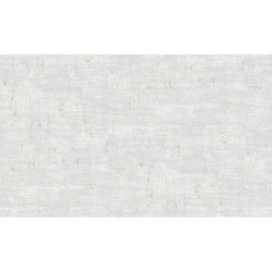 AS-39657-3 IN
