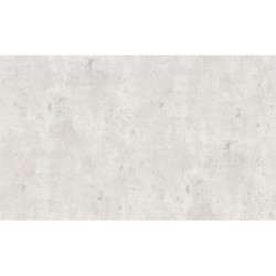 AS-39670-6 IN