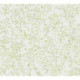 AS-39747-2 IN