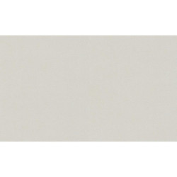AS-39770-6 IN