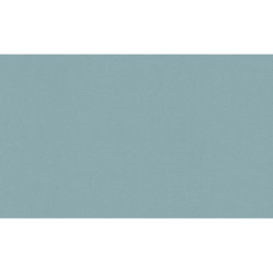 AS-39783-6 IN