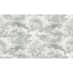 AS-39985-1 IN