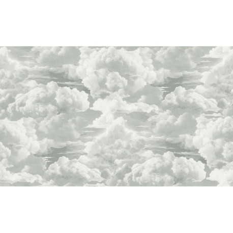 AS-39985-1 IN