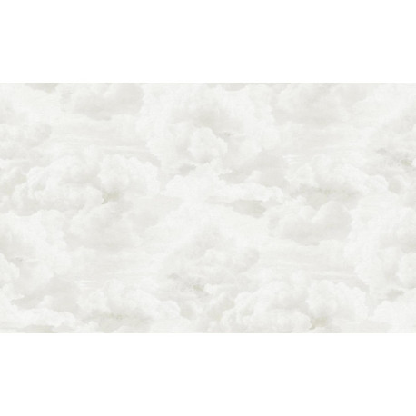 AS-39985-2 IN