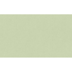 AS-39988-6 IN