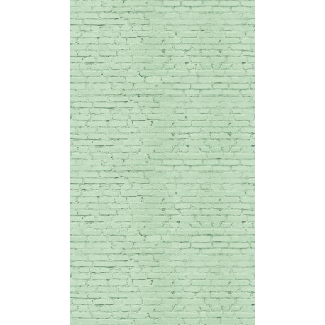 AS-39828-1 IN