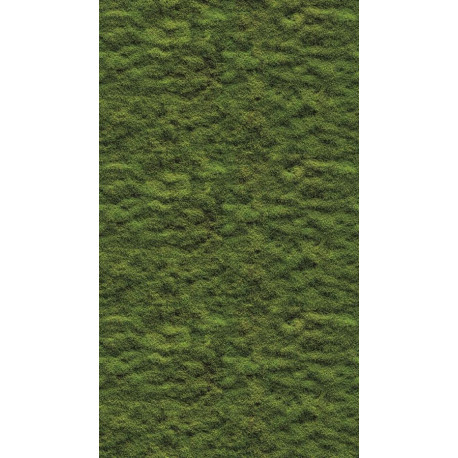 AS-39839-1 IN