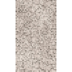 AS-39843-1 IN
