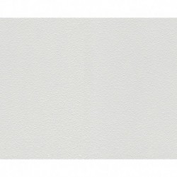 AS-1041-13 IN